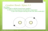 Covalent Bonds: Notes 5-3 + - + - Key Ideas: 1. What holds covalently boned atoms together? 2. What are the properties of molecular compounds? 3. How does.