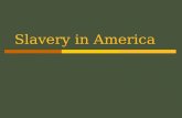 Slavery in America. Slavery: A Two-Part Story  The history of slavery in North America is broken into a two-fold story: 1.15 million Africans were transported.
