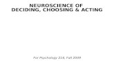 For Psychology 216, Fall 2009 NEUROSCIENCE OF DECIDING, CHOOSING & ACTING.