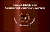 .  Excess Liability and Commercial Umbrella Coverages.