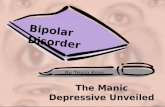 The Manic Depressive Unveiled By Tessa Krog Bipolar Disorder.