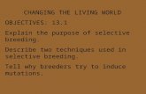 CHANGING THE LIVING WORLD OBJECTIVES: 13.1 Explain the purpose of selective breeding. Describe two techniques used in selective breeding. Tell why breeders.
