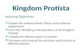 Learning Objectives Explain the endosymbiotic theory and evidence supporting it Describe identifying characteristics of the kingdom Protista Classify the.