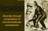 Diversity through extrapolation of microevolutionary mechanisms.