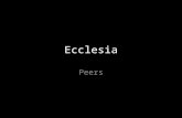 Ecclesia Peers. Columbine… Hitler… The Blind Side…