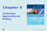 © Baldwin & Wyplosz 2006 Chapter 9 Common Agricultural Policy.