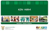 KZN -NRM Directorate : Southern Programs. Regional Activities – Working for Water – Working for Rivers – Working for Ecosystems – Working for Energy –