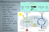 Photosynthesis Conversion of light energy from the sun into stored chemical energy in the form of glucose and other organic molecules.