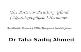 The Posterior Pituitary Gland ( Neurohypophysis ) Hormones Antidiuretic Hormone ( ADH, Vasopressin ) and Oxytocin Dr Taha Sadig Ahmed.
