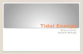 Tidal Energy Briana Carroll Kareem Belhadj. WHAT IS IT Sustainable, clean, reliable, widely distributed energy Renewable Tidal power facilities harness.