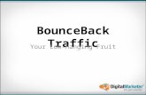 BounceBack Traffic Your Low-Hanging Fruit. How Much Is A Click Worth To You? We’re Going To Increase That.