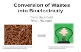 Conversion of Wastes into Bioelectricity Trent Benefield Ryan Risinger  microbes-generate-electricity-from-mud.html.