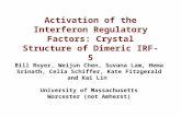Activation of the Interferon Regulatory Factors: Crystal Structure of Dimeric IRF-5 Bill Royer, Weijun Chen, Suvana Lam, Hema Srinath, Celia Schiffer,