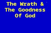 The Wrath & The Goodness Of God 1. Rom. 1:16-17 2 For I am not ashamed of the gospel of Christ: for it is the power of God unto salvation to every one.
