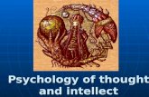 Psychology of thought and intellect. Thought - is a psychical process which consists in opening of connections and dependence between objects and phenomena.
