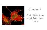 Chapter 7 Cell Structure and Function Unit 3. Cytology: the study of cells.