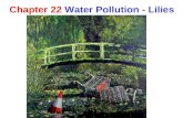 Chapter 22 Water Pollution - Lilies. Point Vs. Nonpoint Point source pollution Industrial Nonpoint source pollution Agricultural & Urban.