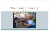 The Swine Industry. Objectives Understand importance of the swine industry Overview of the structure of the swine industry Become familiar with terms.