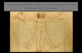 Vitruvian Mesh: Re-examining the 3D Modelling Process.