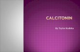 By Taylor Kudirka.  Calcitonin is a hormone known to participate in calcium and phosphorus metabolism.  In mammals calcitonin is the C cells in the.