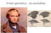 From genetics…to evolution. What is the Theory of evolution?