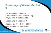 Summary of Action Period 3 TN Patient Safety Collaborative: Reducing Physical Restraints Learning Session 4 April 6, 7, & 8, 2010 Beth Hercher, QI Specialist.