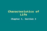 Characteristics of Life Chapter 1, Section 3. Biology = the study of life What does it mean to be alive??? There are 8 characteristics of life... –No.