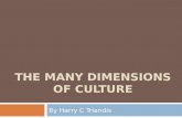 THE MANY DIMENSIONS OF CULTURE By Harry C Triandis.
