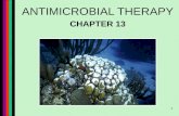 1 ANTIMICROBIAL THERAPY CHAPTER 13. 2 Chemotherapeutic Agents Antibiotics: bacteriocidal vs bacteriostatic Synthetic Drugs vs natural product.