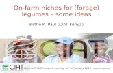 Www.ciat.cgiar.org On-farm niches for (forage) legumes – some ideas Birthe K. Paul (CIAT Kenya) LegumeCHOICE project meeting, 12 th of January 2015.