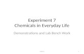 Experiment 7 Chemicals in Everyday Life Demonstrations and Lab Bench Work 1CHE116.