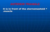 ANTERIOR TRIANGLE It is in front of the sternomastoid muscle. It is in front of the sternomastoid muscle.