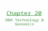 Chapter 20 DNA Technology & Genomics. Genetic engineering Manipulation of genetic material for practical purposes has begun industrial revolution in biotechnology.