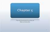 1. 2 AIM: How do organisms build/break macromolecules? Chapter 5 – The Structure and Function of Macromolecules.