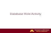 Database Role Activity. DB Role and Privileges Worksheet.