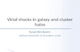 Virial shocks in galaxy and cluster halos Yuval Birnboim Hebrew University of Jerusalem, Israel.