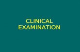 CLINICAL EXAMINATION. Diagnostic approach depends upon assessment of function.