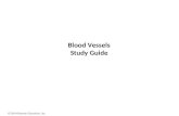 © 2014 Pearson Education, Inc. Blood Vessels Study Guide.