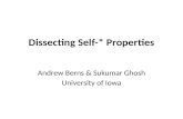 Dissecting Self-* Properties Andrew Berns & Sukumar Ghosh University of Iowa.