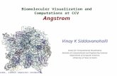 CCV, ICES, University of Texas at Austin Biomoleculer Visualization and Computations at CCV Angstrom Vinay K Siddavanahalli Center for Computational Visualization.