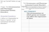 7.1 Chromosomes and Phenotype Set up Cornell Notes on pg. 77 Topic: 7.1 Chromosomes and Phenotype: Autosomal Genetic Disorders Essential Questions: 1.Why.