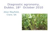 Diagnostic agronomy, Dubbo, 18 th October 2010 Allan Mayfield, Clare, SA.