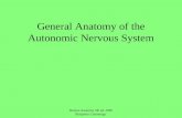 Human Anatomy 5th ed. 2005 Benjamin Cummings General Anatomy of the Autonomic Nervous System.