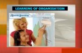Learning of Organization Definition Definition Background Background Why a learning Organisation? Why a learning Organisation? How to create a Learning.
