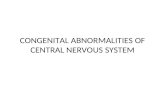 CONGENITAL ABNORMALITIES OF CENTRAL NERVOUS SYSTEM.