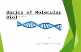 Basics of Molecular Biology by Dr. Achraf El Allali.