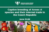 Captive breeding of Annex A species and their internet trade in the Czech Republic Jana Hrdá.