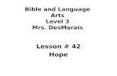 Bible and Language Arts Level 3 Mrs. DesMarais Lesson # 42 Hope.