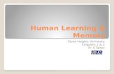 Human Learning & Memory Siena Heights University Chapters 1 & 2 Dr. S.Talbot.