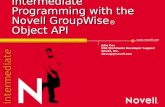Www.novell.com Intermediate Programming with the Novell GroupWise ® Object API John Cox DSE Worldwide Developer Support Novell, Inc. devsup@novell.com.